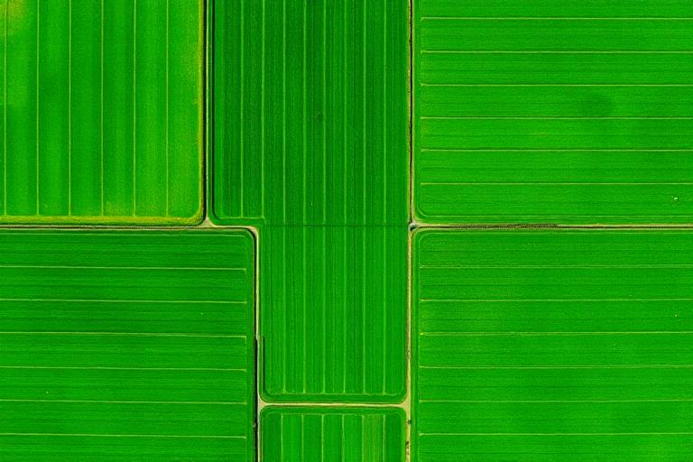 Smart Farm Mapping